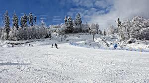 Skolnity Kolej Linowa